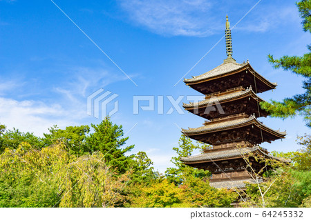 Ninnaji Temple 64245332