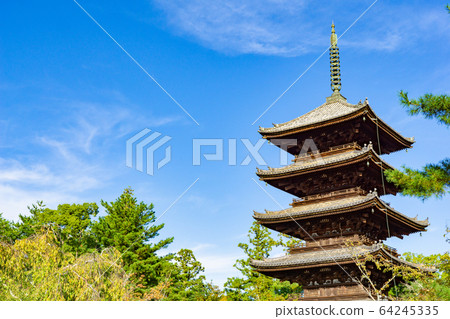 Ninnaji Temple 64245335