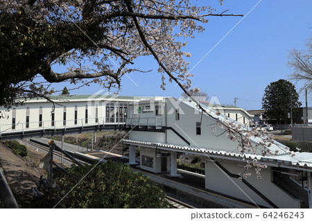 雙葉郡富岡町2020年4月4日 64246243