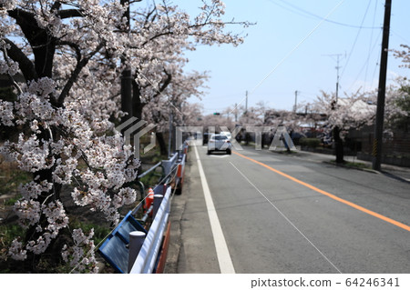 雙葉郡富岡町2020年4月4日 64246341