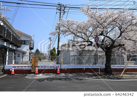 雙葉郡富岡町2020年4月4日 64246342