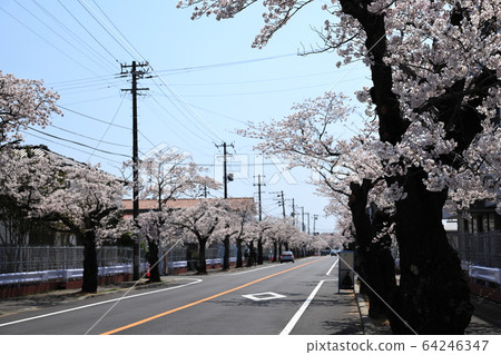 雙葉郡富岡町2020年4月4日 64246347