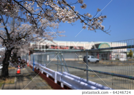 雙葉郡富岡町2020年4月4日 64246724