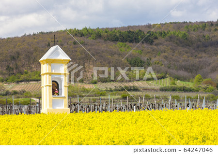 Gods torture near Retz, Austria Gods torture near Retz, Austria 64247046