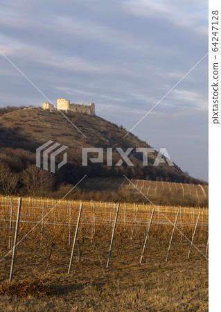 ruins of Devicky Castle with vineyards, Czech ruins of Devicky Castle with vineyards, Czech 64247128