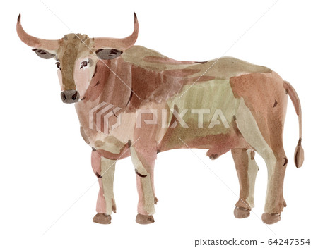 Handwork watercolor illustration of a bull Handwork watercolor illustration of a bull 64247354