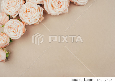 Spring background. Rose flowers on a beige background. 64247802
