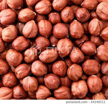 Background of peeled hazelnuts. The view from top Background of peeled hazelnuts. The view from top 64248511