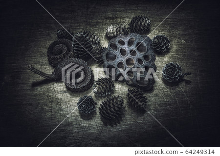 Pinecone 64249314