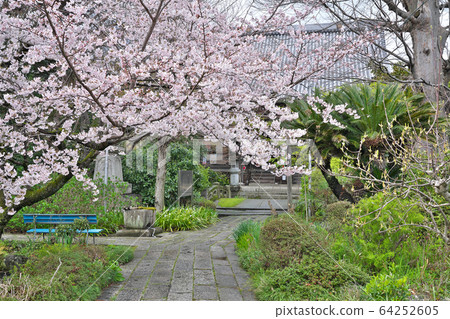 [Toshinain] Miyamaecho, Nagahama City, Shiga Prefecture 64252605