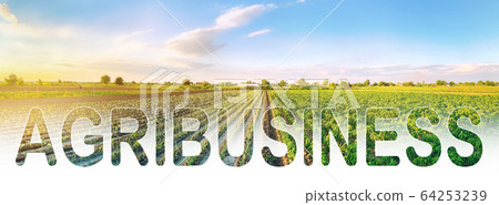 Word inscription agribusiness on agricultural plantation field. Crop and livestock growers. Agroindustry food industry. Production of farm products. Farm Lending. Support, subsidization of landowners. 64253239