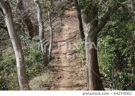 Trail Trail 64254062