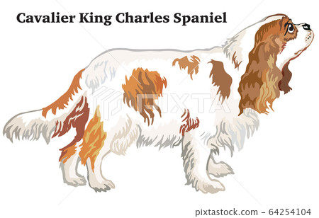 Colored decorative standing portrait of dog Colored decorative standing portrait of dog 64254104