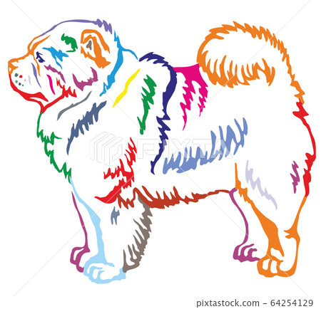 Colorful decorative standing portrait of Chow Chow 64254129