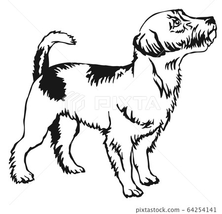 Decorative standing portrait of Jack Russell Decorative standing portrait of Jack Russell 64254141