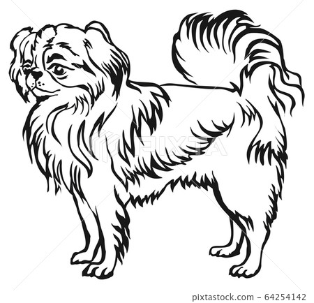 Decorative standing portrait of Japanese Chin 64254142