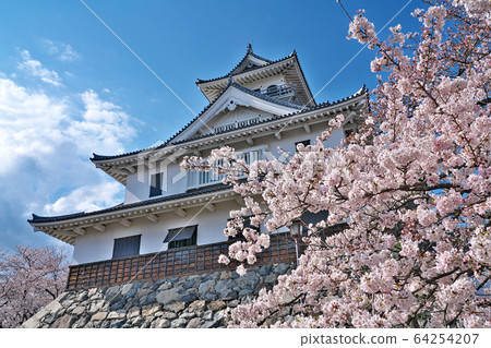 [長濱城]滋賀縣長濱市公園町 64254207