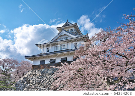 [長濱城]滋賀縣長濱市公園町 64254208