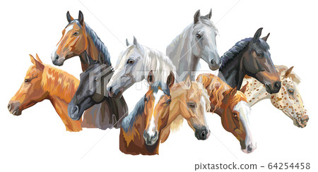 Set of horses breeds3 Set of horses breeds3 64254458