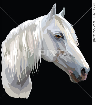 Colored Horse portrait-6 Colored Horse portrait-6 64254530