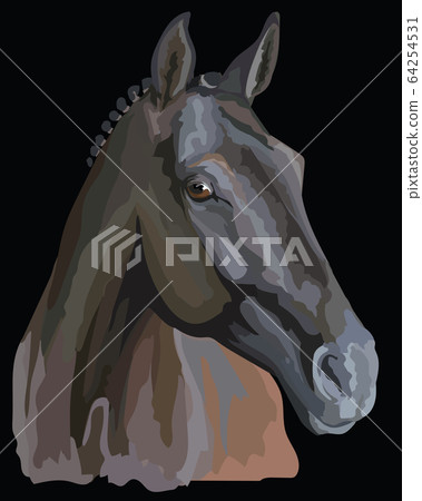 Colored Horse portrait-7 Colored Horse portrait-7 64254531