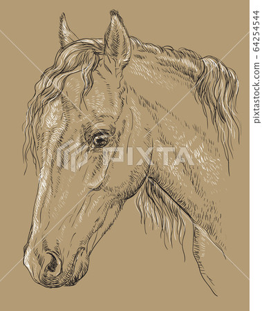 Horse portrait-8 on brown background Horse portrait-8 on brown background 64254544