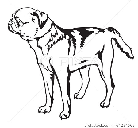 Decorative standing portrait of Petit Brabant Decorative standing portrait of Petit Brabant 64254563