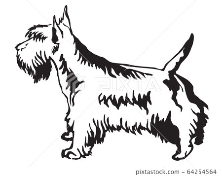 Decorative standing portrait of Scottish Terrier Decorative standing portrait of Scottish Terrier 64254564