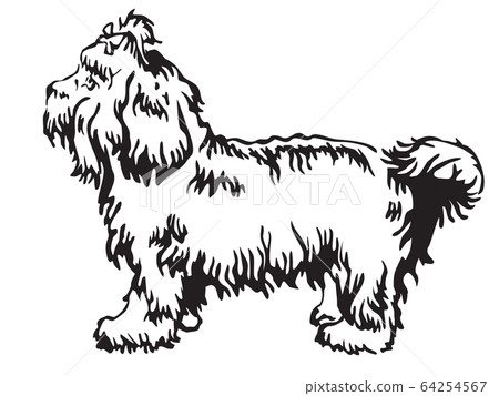 Decorative standing portrait of Bolonka vector 64254567