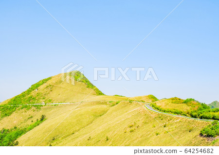 Bottle forest forest road Bottle forest forest road 64254682