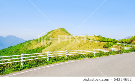 瓶森林森林公路 瓶森林森林公路 64254692