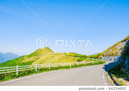 Bottle forest forest road Bottle forest forest road 64254693