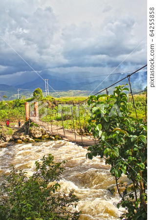 Suspension bridge in Papua 64255858