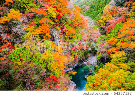 土chi峽(秋天) 土chi峽(秋天) 64257122