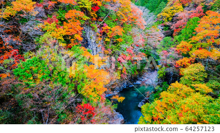 土chi峽(秋天) 土chi峽(秋天) 64257123