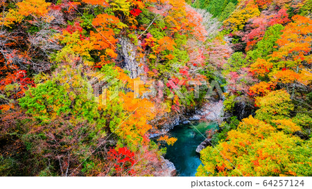 土chi峽(秋天) 土chi峽(秋天) 64257124