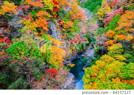 土chi峽(秋天) 土chi峽(秋天) 64257127