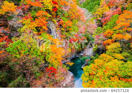 土chi峽(秋天) 土chi峽(秋天) 64257128