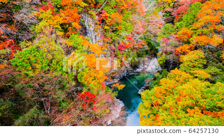 土chi峽(秋天) 土chi峽(秋天) 64257130
