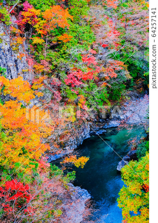 土chi峽(秋天) 土chi峽(秋天) 64257141