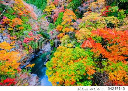土chi峽(秋天) 土chi峽(秋天) 64257143