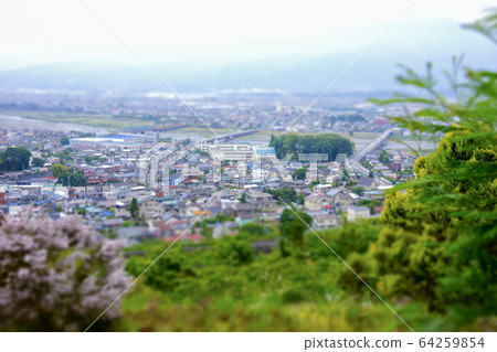 Matsuda mountain herb garden Matsuda mountain herb garden 64259854