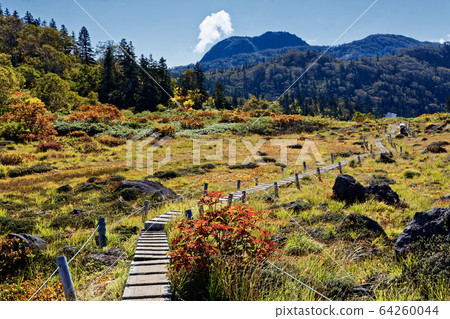 從秋高田池塘附近看到的妙高山山頂 64260044