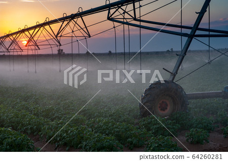 The self-propelled irrigation system in fields on the border of Israel, Egypt and the Gaza Strip 64260281