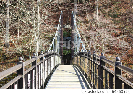 Scarlet suspension bridge 64260594