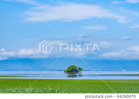 琵琶湖夏天 64260978
