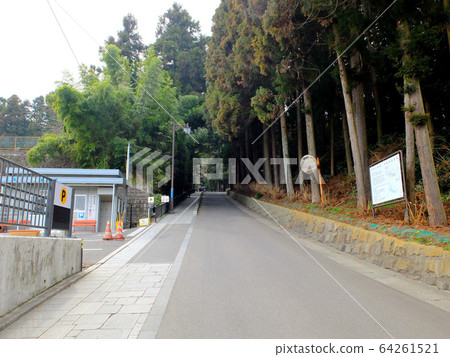 View of the road from Zuihoden / bus stop to Zuihoden / Tohoku / Sendai 64261521