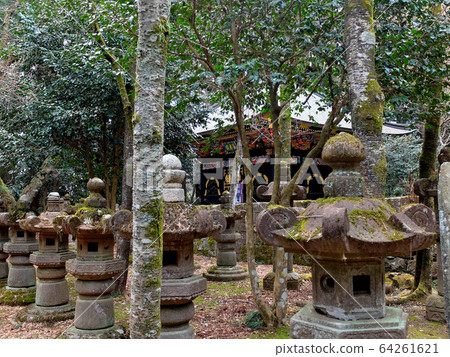 Zen Senden (2) seen through the countless lanterns set around the Kansenden and surrounding areas 64261621