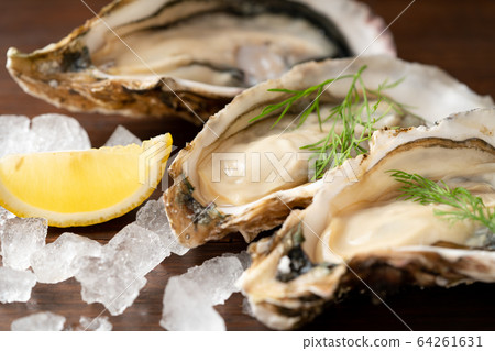 Raw oysters Raw oysters 64261631
