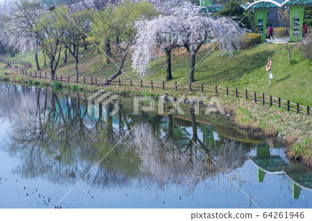 Gallery Reservoir, Ansan City, Gyeonggi-do 64261946